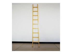 Insulating Ladder